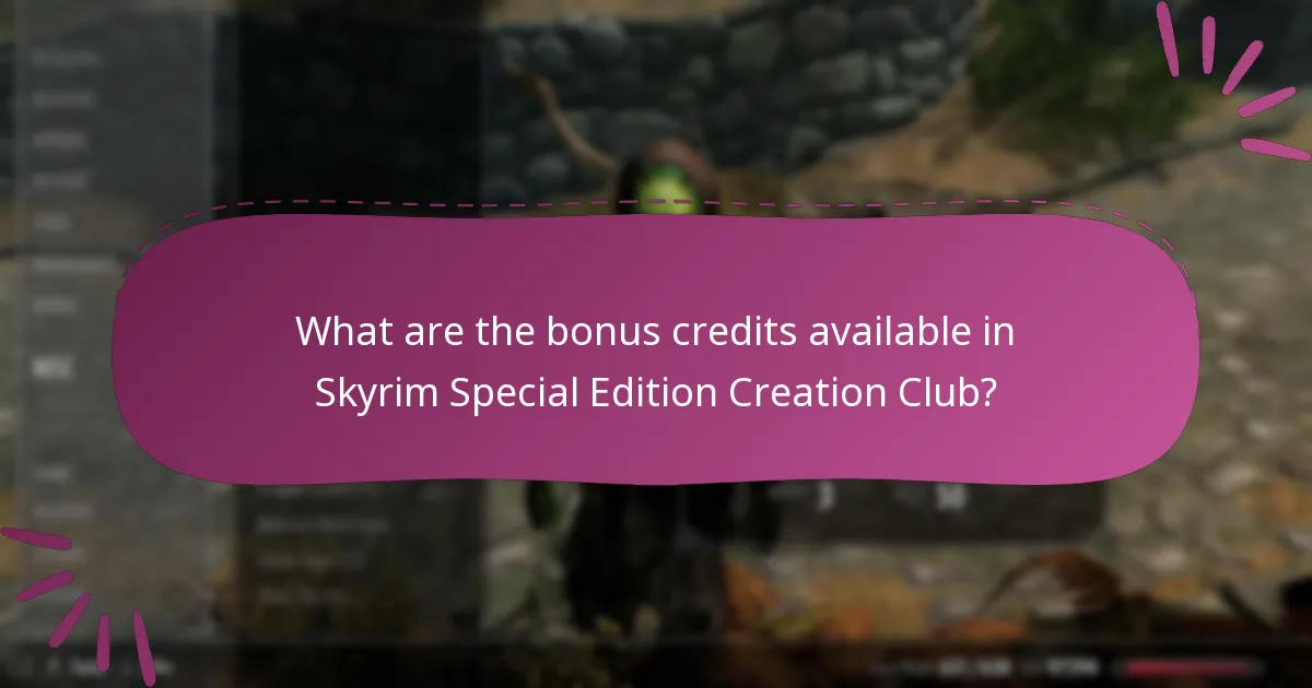 What are the risks and considerations when purchasing credits?